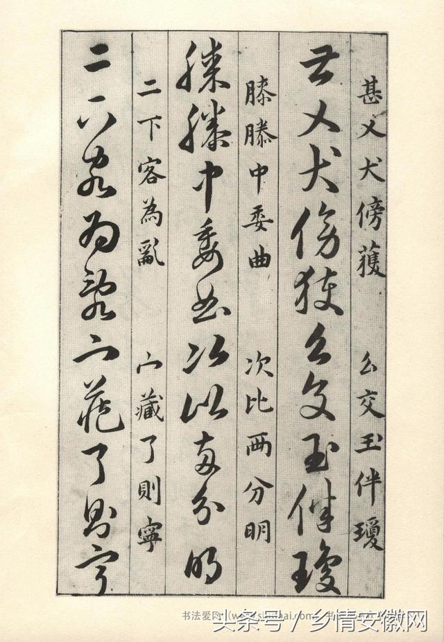 鷨ݾ衷
