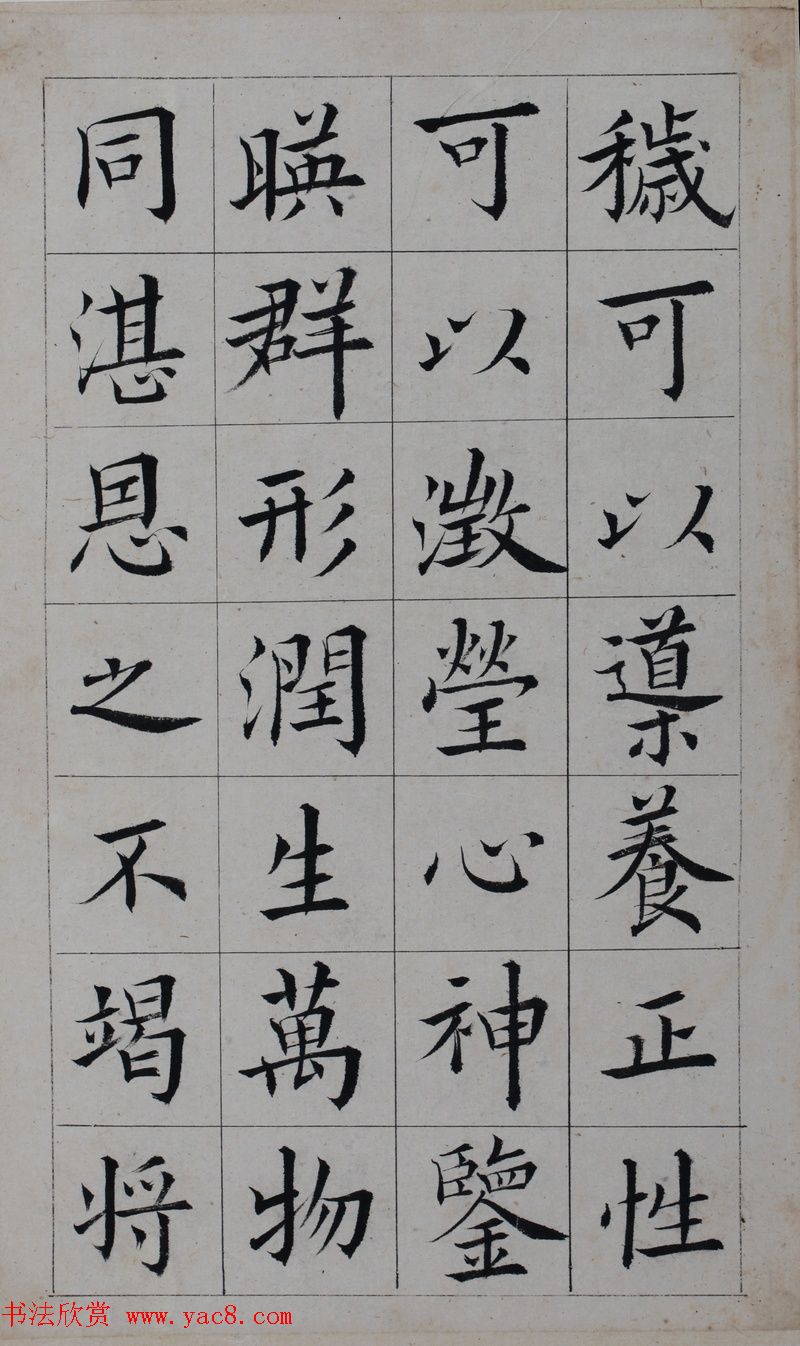 鷨īپųɹ