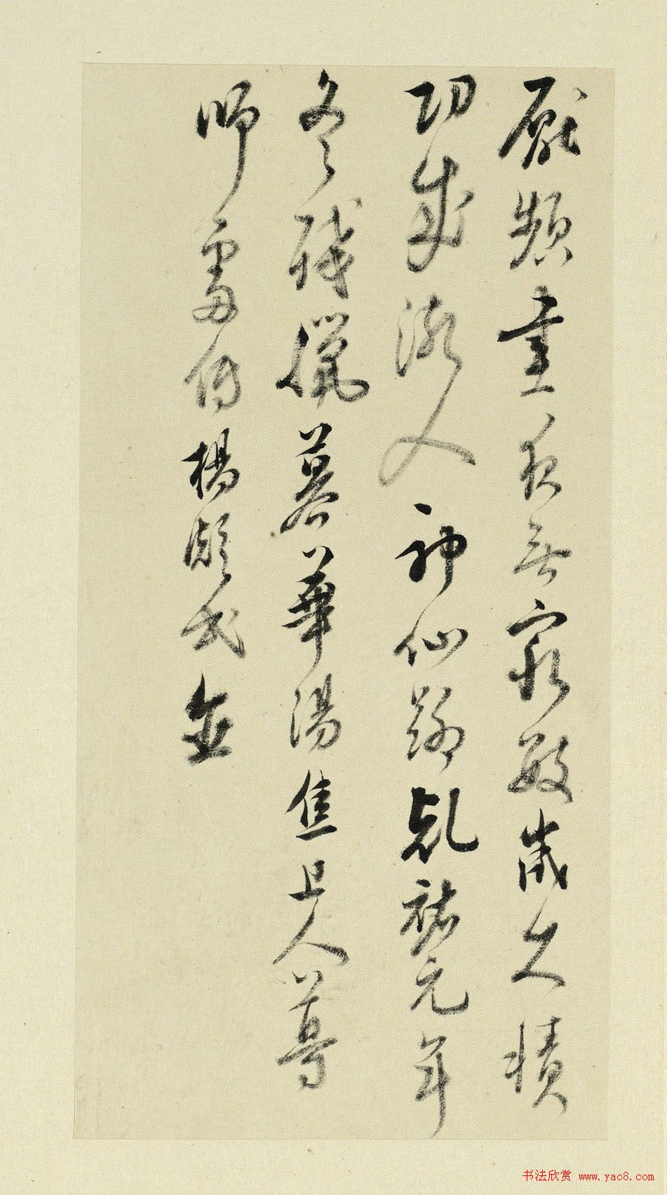 鷨ʽӷ