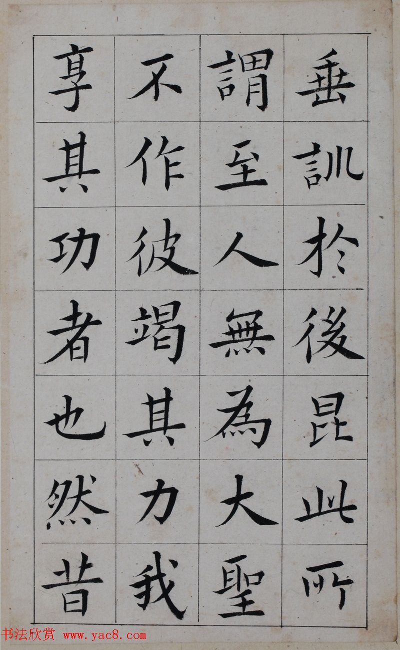 鷨īپųɹ