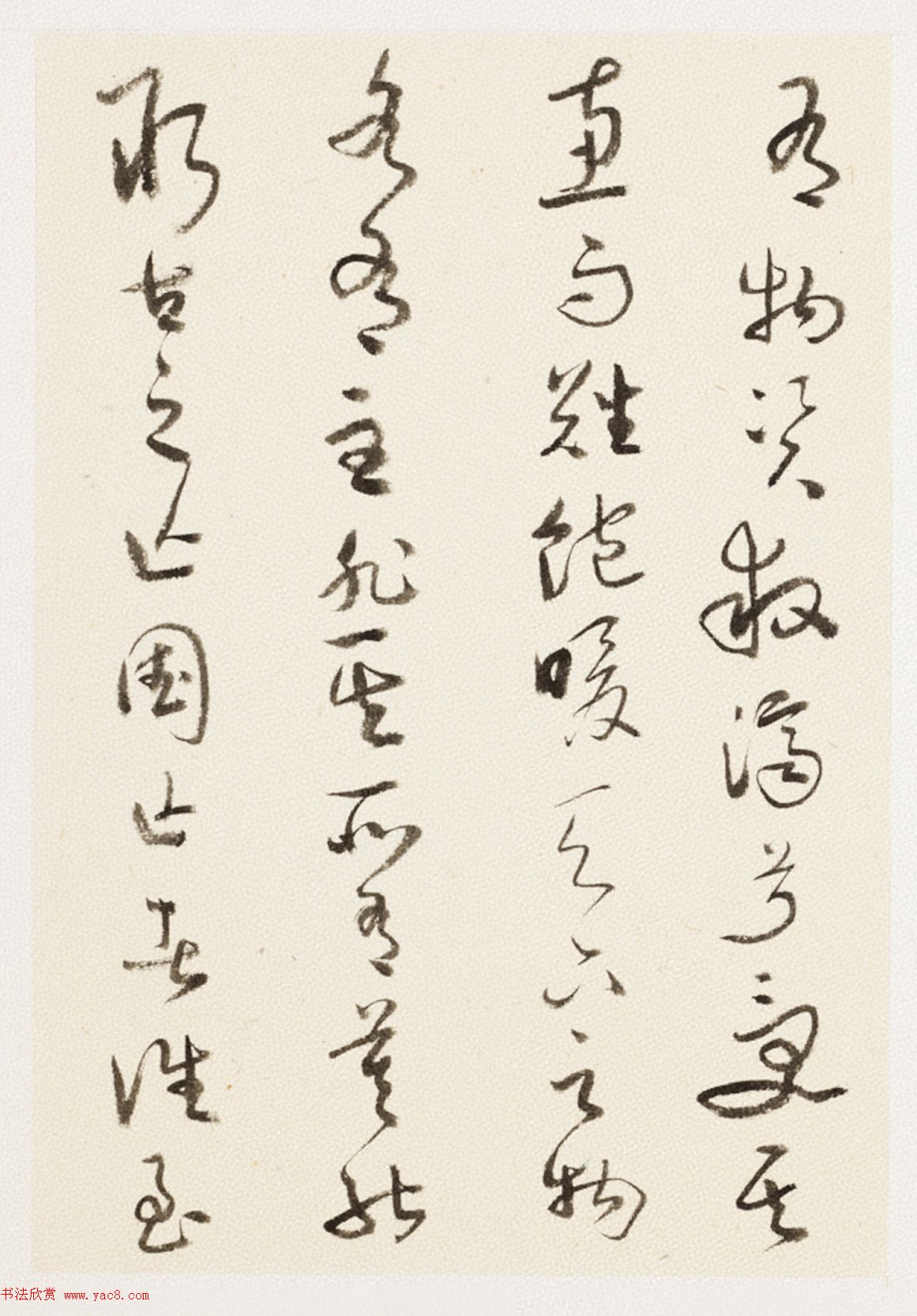 С鷨īᡶڶδս衷